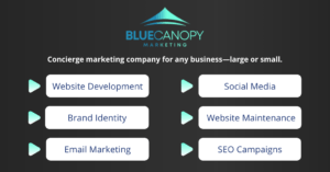 Blue Canopy Marketing Company, our services. Concierge marketing company for any business large or small. Website development, social media, brand identity, website maintenance, email marketing, SEO campaigns.