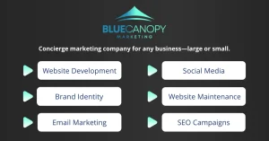 Blue Canopy Marketing's blue ombre logo rests at the top of the imagine against a black background. Below it, lists the 6 core digital marketing services that Blue Canopy Marketing offers: Website Development, Social Media, Brand Identity, Website Maintenance, Email Marketing, SEO Campaigns.